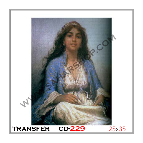 ترانسفر CD-229 25/35