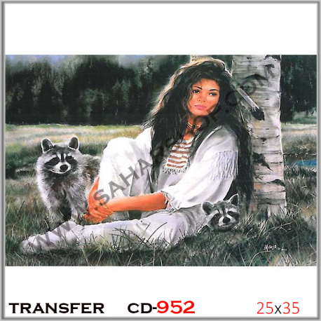 ترانسفر CD-952 25/35