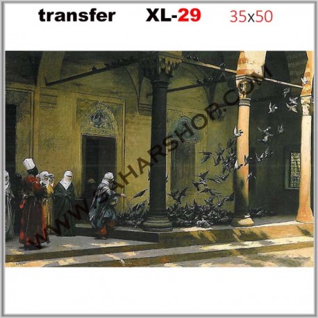 ترانسفر کادنس XL-29