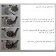 ترانسفر گیپوری 25/35 DT-028