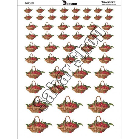 ترانسفر دانکار 0366