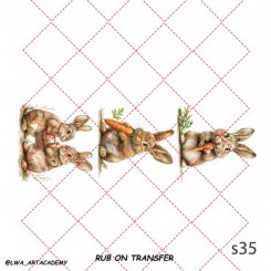 ترانسفر روبون S-35