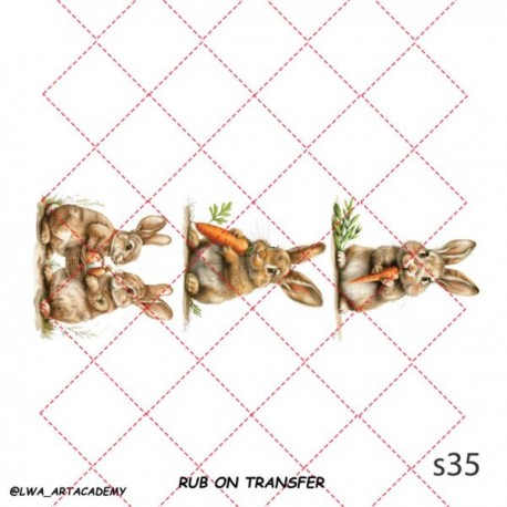 ترانسفر روبون S-35