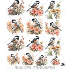 ترانسفر روبون A-006