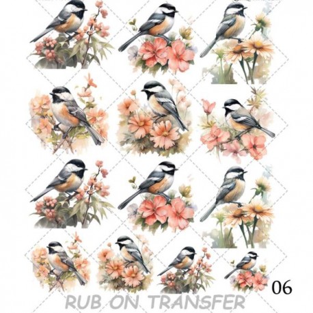 ترانسفر روبون A-006