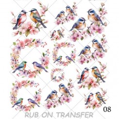 ترانسفر روبون A-008