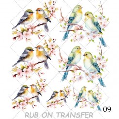 ترانسفر روبون A-009