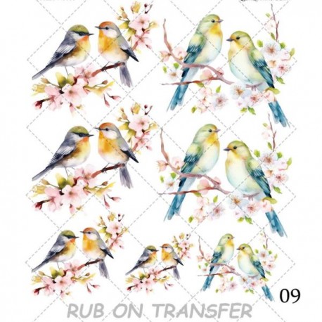 ترانسفر روبون A-009