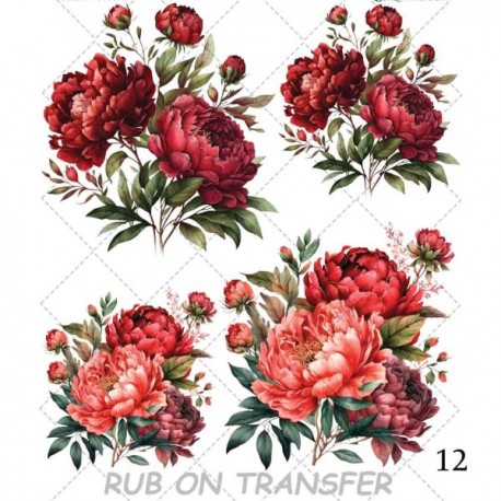 ترانسفر روبون A-012