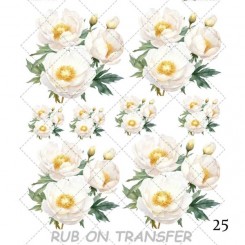 ترانسفر روبون A-025