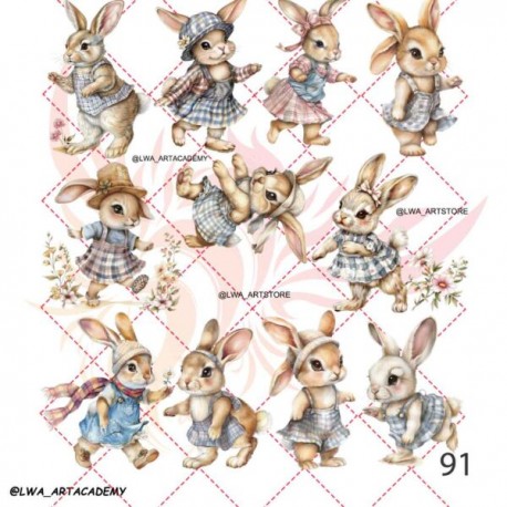 ترانسفر روبون A-091